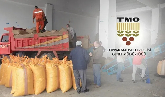 FINDIKTA FLAŞ GELİŞME... TMO SATIŞI DURDURDU!