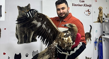 KAYA KARTALINA ŞEFKAT ELİ 