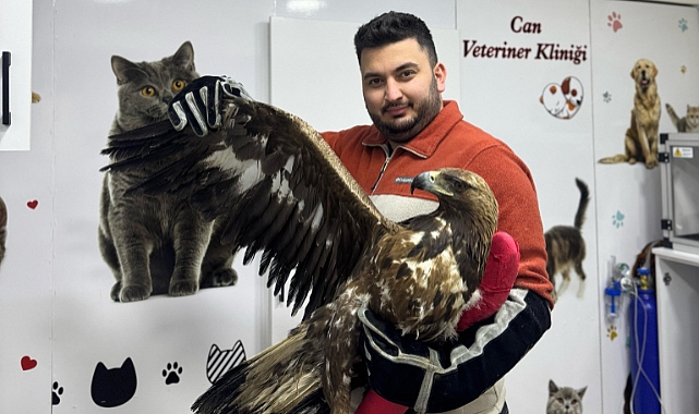 KAYA KARTALINA ŞEFKAT ELİ