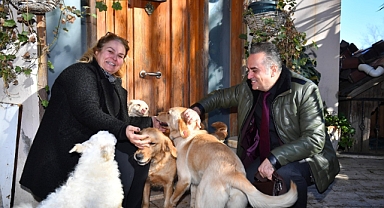 ORTAHİSAR BELEDİYESİ 112 SOKAK HAYVANINI SAHİPLENDİRDİ