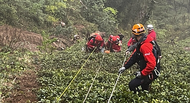 RİZELİ MUHTAR YASA BOĞDU... KESTİĞİN AĞACIN ALTINDA KALDI!