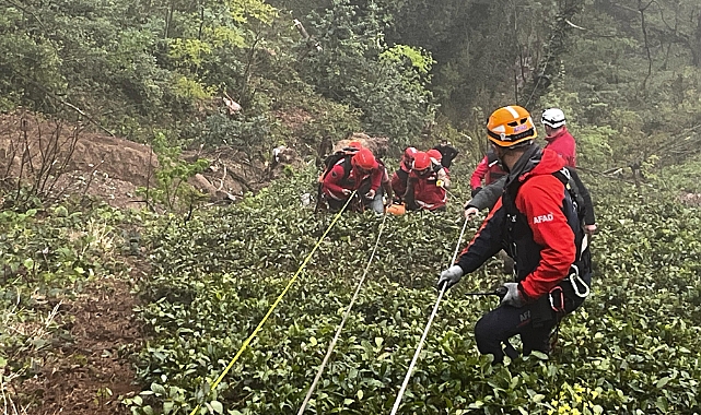 RİZELİ MUHTAR YASA BOĞDU... KESTİĞİN AĞACIN ALTINDA KALDI!
