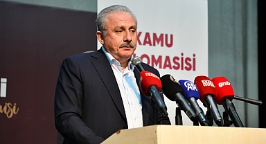 ŞENTOP: DİPLOMASİ DEVLET GÖREVLİLERİNİN YÖNETTİĞİ BİR İŞ OLMAKTAN ÇIKTI
