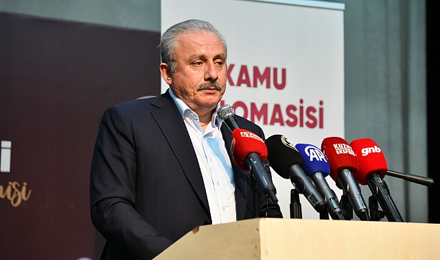 ŞENTOP: DİPLOMASİ DEVLET GÖREVLİLERİNİN YÖNETTİĞİ BİR İŞ OLMAKTAN ÇIKTI