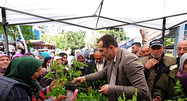 AKÇAABAT'TA 10 BİN SEBZE FİDESİ DAĞITILDI 