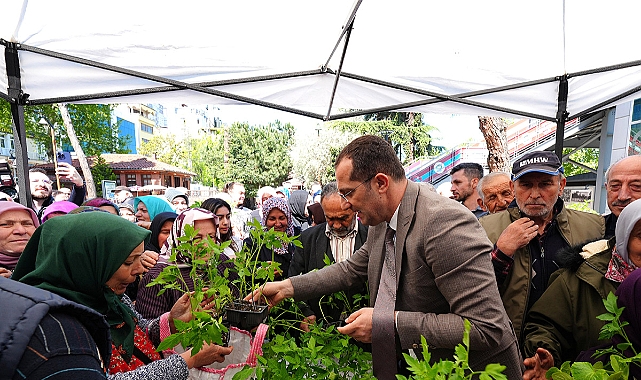 AKÇAABAT'TA 10 BİN SEBZE FİDESİ DAĞITILDI