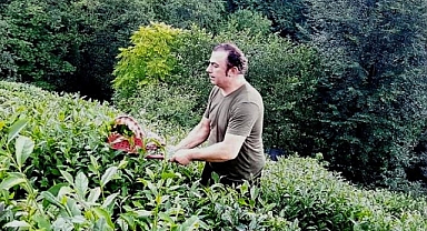 BAYRAK: YAŞ ÇAY ÜRETİCİSİ SADAKA İSTEMİYOR!