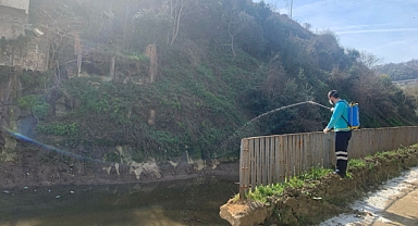 BÜYÜKŞEHİR VEKTÖRLE MÜCADELEDE YAZA HAZIR