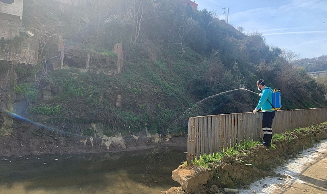 BÜYÜKŞEHİR VEKTÖRLE MÜCADELEDE YAZA HAZIR