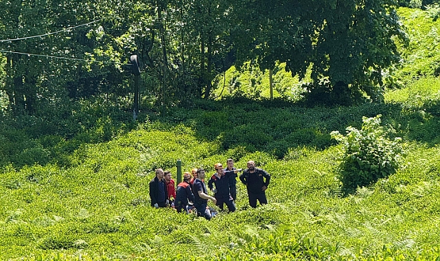 ÇAYLIKTA CAN PAZARI!