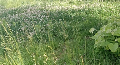 DIŞI BÖYLEYSE KİM BİLİR İÇİ NASILDIR?