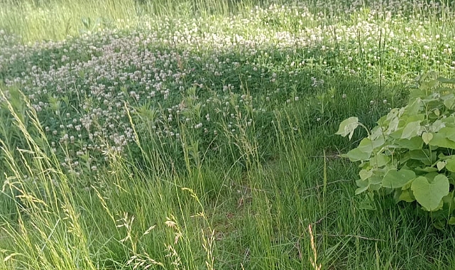DIŞI BÖYLEYSE KİM BİLİR İÇİ NASILDIR?