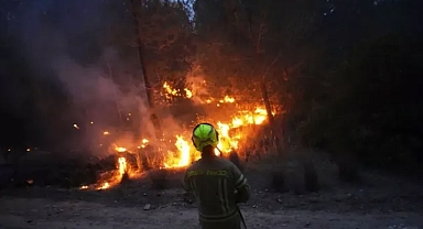 İSRAİL'DE YANGIN DURDULAMIYOR