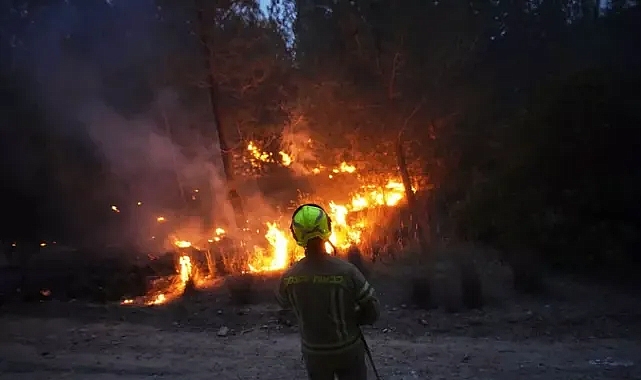 İSRAİL'DE YANGIN DURDULAMIYOR