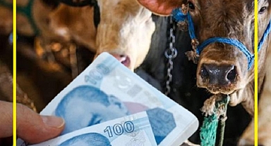 KURBANLIK FİYATLARI CEP YAKIYOR!