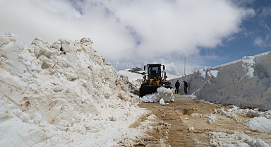 MAYISTA KARLA MÜCADELE! 