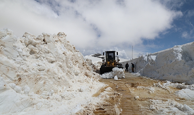 MAYISTA KARLA MÜCADELE!