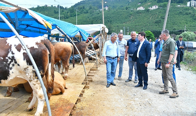 ORTAHİSAR BELEDİYESİ, KURBAN SAHALARINI HAZIRLIYOR