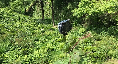 TİCARİ ARAÇ ÇAY BAHÇESİNE UÇTU: 2 YARALI 