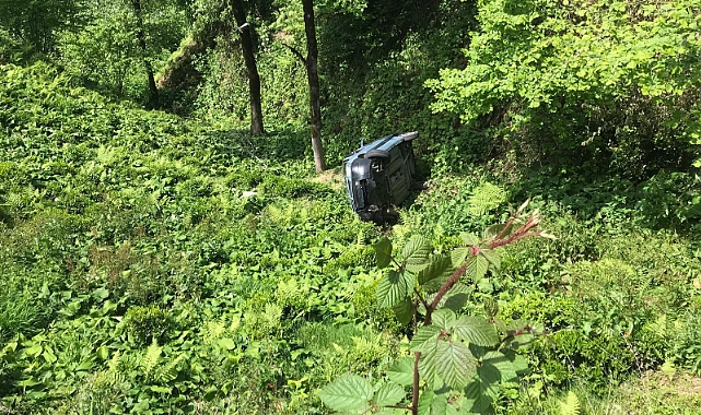 TİCARİ ARAÇ ÇAY BAHÇESİNE UÇTU: 2 YARALI