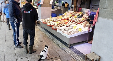 TRABZON'DA BALIKÇI TEZGAHLARI ŞENLENDİ