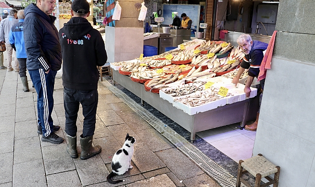 TRABZON'DA BALIKÇI TEZGAHLARI ŞENLENDİ