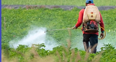 TRABZON'DA PESTİSİT DENETİMLERİ NE DURUMDA? 