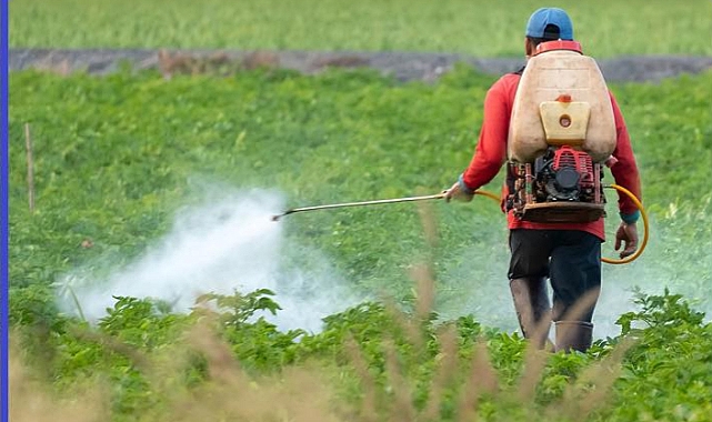 TRABZON'DA PESTİSİT DENETİMLERİ NE DURUMDA?