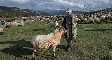 YAYLALARA GÖÇ BAŞLADI