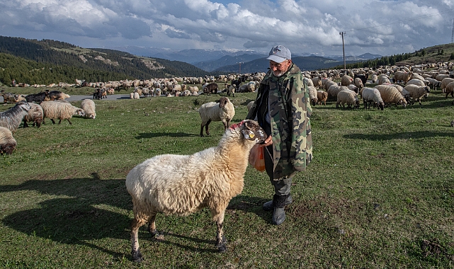 YAYLALARA GÖÇ BAŞLADI