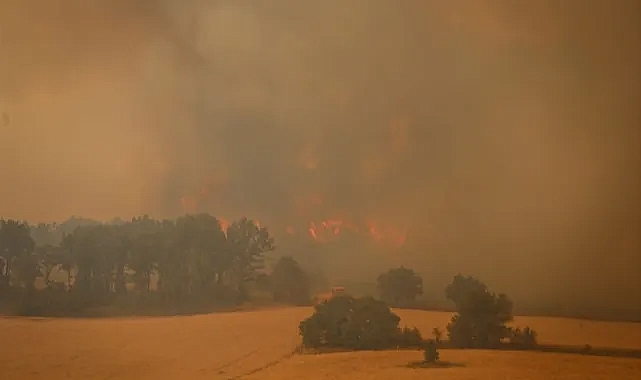 ALEVLER HER YANI SARDI!