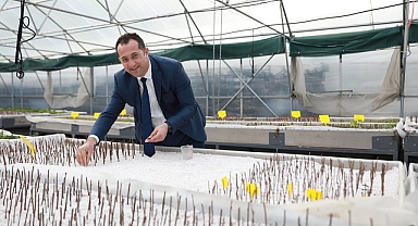 ARONYA MEYVESİNİN BİLİMSEL ARAŞTIRMASI YAPILDI 