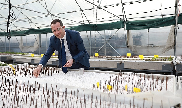 ARONYA MEYVESİNİN BİLİMSEL ARAŞTIRMASI YAPILDI