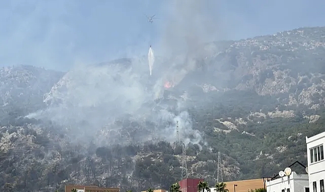 BODRUM DA ALEVLERE TESLİM!