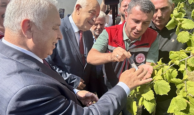 TRABZON'DA KOKARCA İLE MÜCADELE HIZ KAZANDI