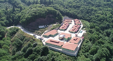 TRABZON'DA SAHİPSİZ KÖPEKLER YUVALARINA KAVUŞTU 