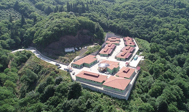 TRABZON'DA SAHİPSİZ KÖPEKLER YUVALARINA KAVUŞTU