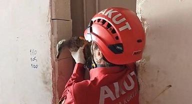 YARALI MARTIYA ŞEFKAT ELİ 