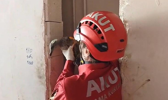 YARALI MARTIYA ŞEFKAT ELİ