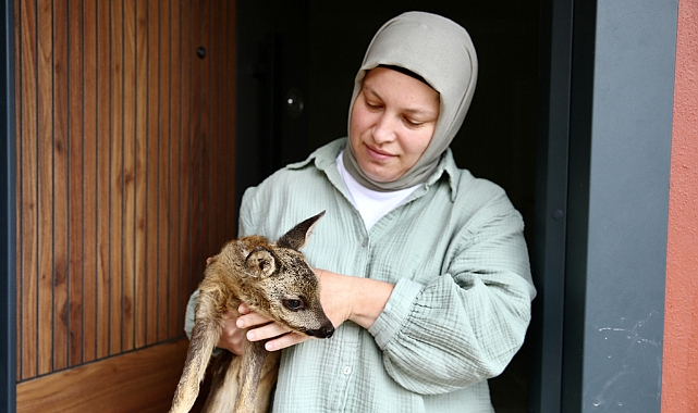 YAVRU KARACAYA ŞEFKAT ELİ