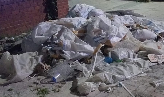 BEŞİRLİ'DE REZALET... BU NE VURDUMDUYMAZLIK!