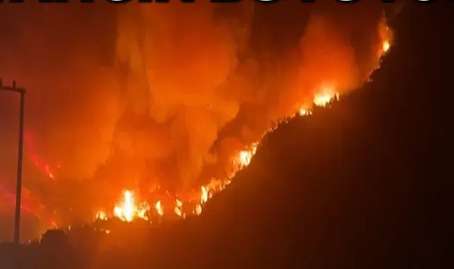 CİĞERLERİMİZ YANIYOR