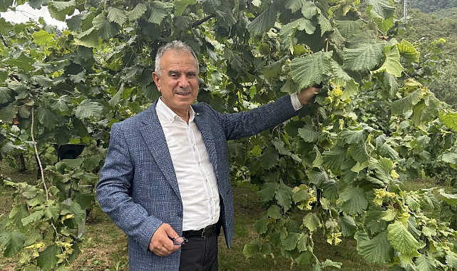 ERGAN ÜRETİCİLERİ UYARDI: FINDIK OLMADAN TOPLAMAYIN