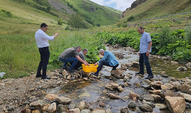 KARADERE VADİSİ'NE 15 BİN ALABALIK YAVRUSU BIRAKILDI