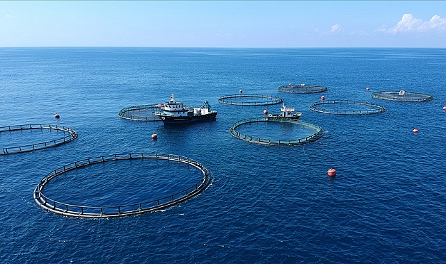 SU ÜRÜNLERİ İHRACATI 167 MİLYON DOLARI AŞTI