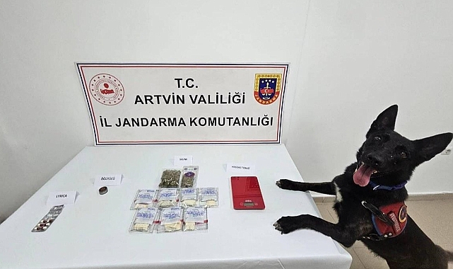 ZEHİR OPERASYONU: 2 ZANLI TUTUKLANDI