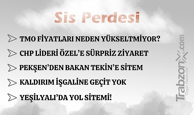 29.08.2025 SİS PERDESİ