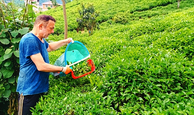 ÇAYKUR'U BIRAKIN ÇAYKUR KURTARSIN!