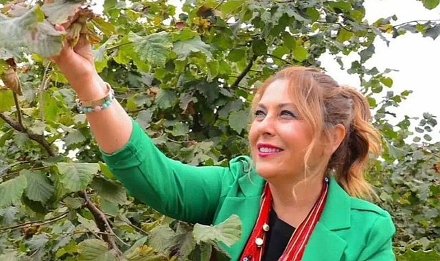 CHP'Lİ GEZMİŞ: FINDIK ÜRETİCİSİNİN ZARARI KARŞILANSIN!