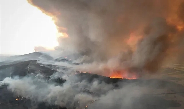 CİĞERLERİMİZ YANIYOR! GELİBOLU ALEV ALEV